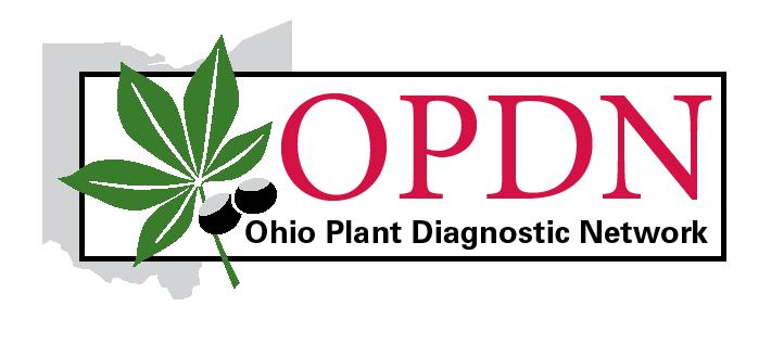 author logo